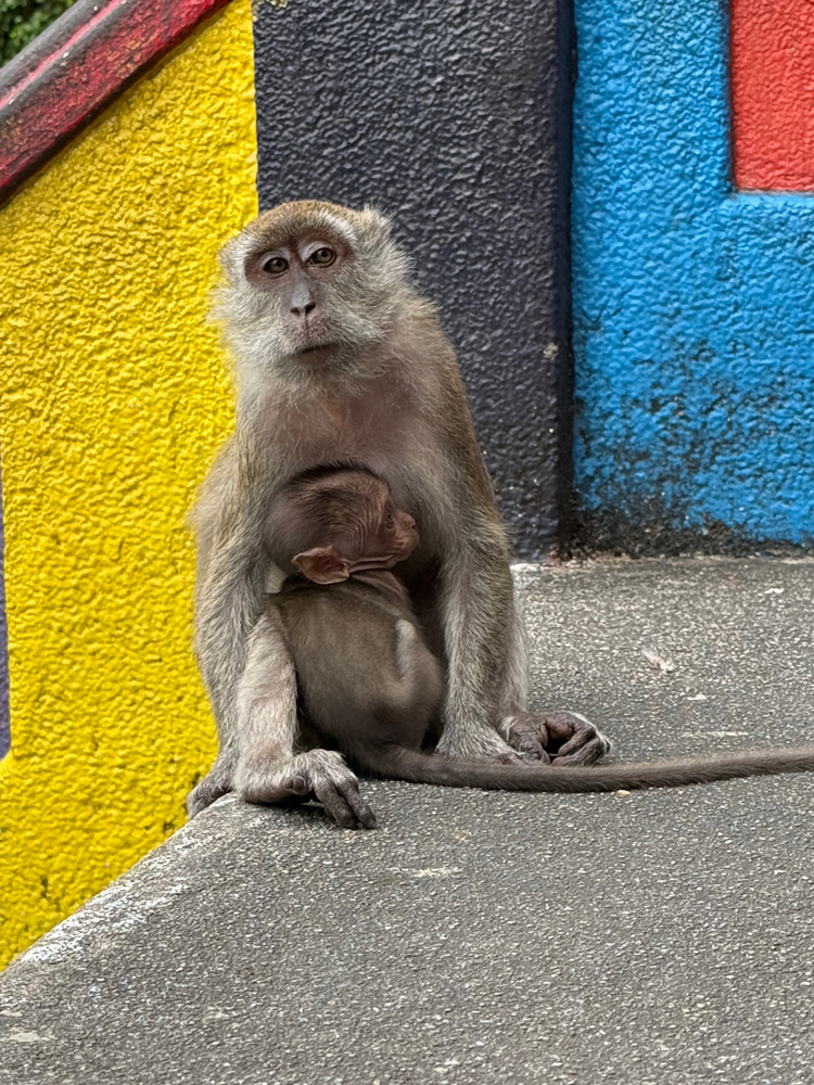 에디터 사진